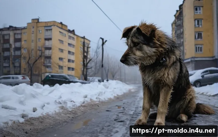 몰도바 유기동물 보호소 - **Prompt:** A resilient stray dog, a medium-sized mixed breed with shaggy, matted brown and grey fur...