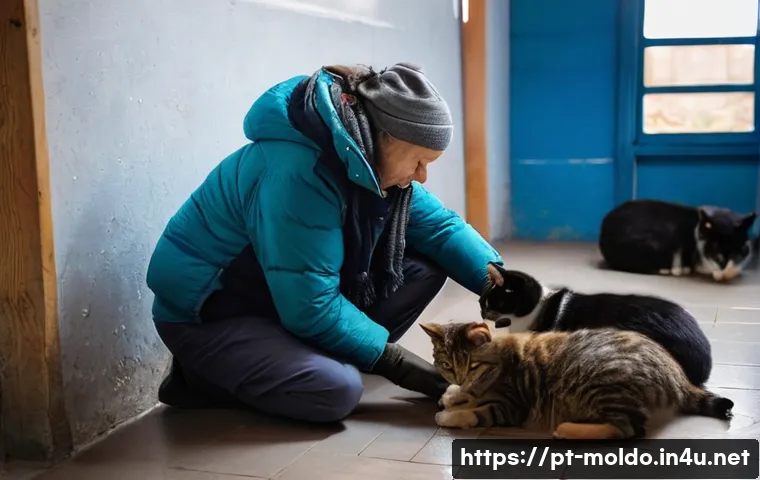 몰도바 유기동물 보호소 관련 이미지 1